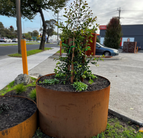 round planter box