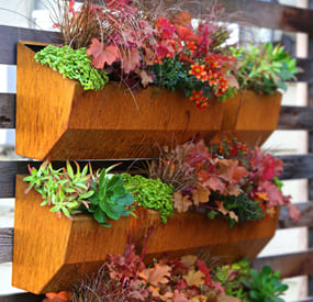 wall planters