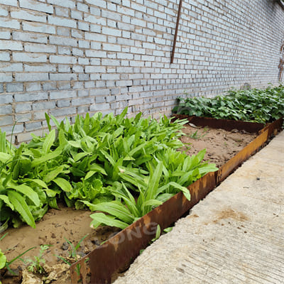 Customized rusted steel garden edging for outdoor garden