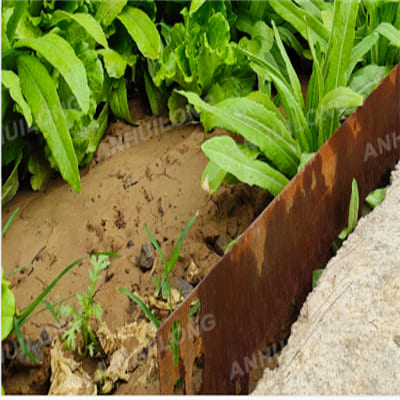 Customized rusted steel garden edging for outdoor garden