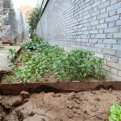 Elegant corten steel edging for garden