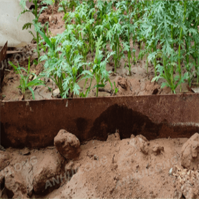 Elegant corten steel edging for garden