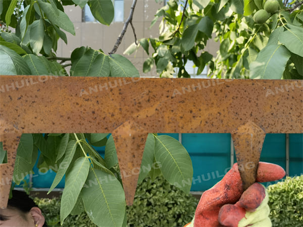 Pre-Rusted Corten Steel Edgingfor Perth or Driveway