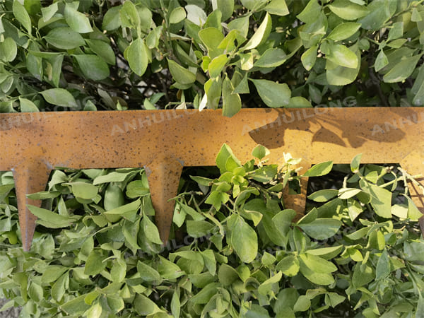 Rusted Steel Garden Edging Made of Premium Materials