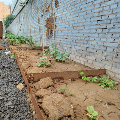 Safe rusted steel garden edging landscape architecture company