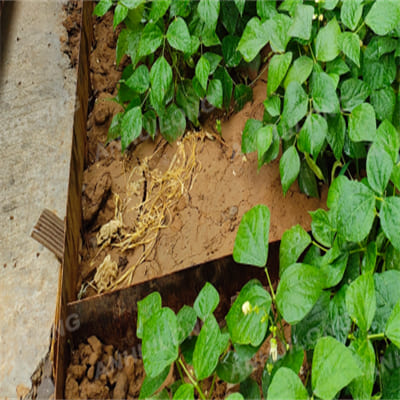 Strong rusted steel garden edging