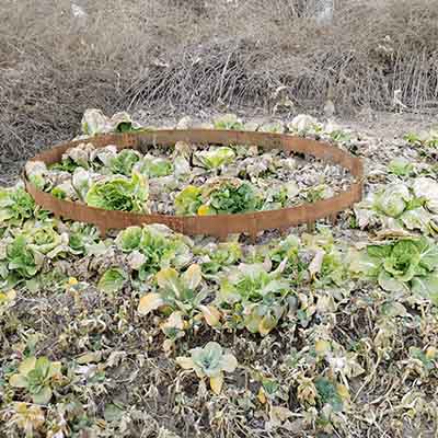 Garden edge round rust corten steel easy garten lawn edging garden edging fence