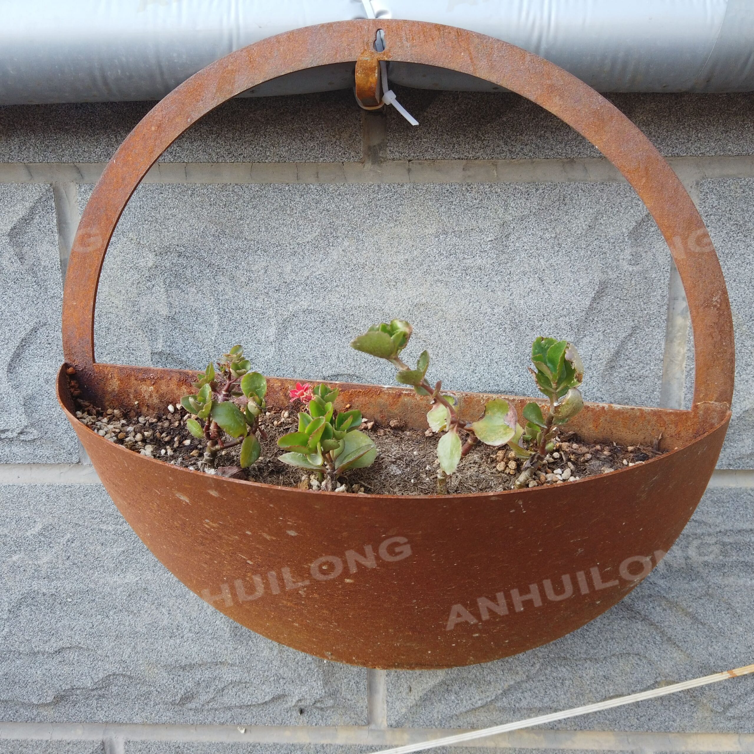 Half-moon indoor or outdoor planter for holiday projects