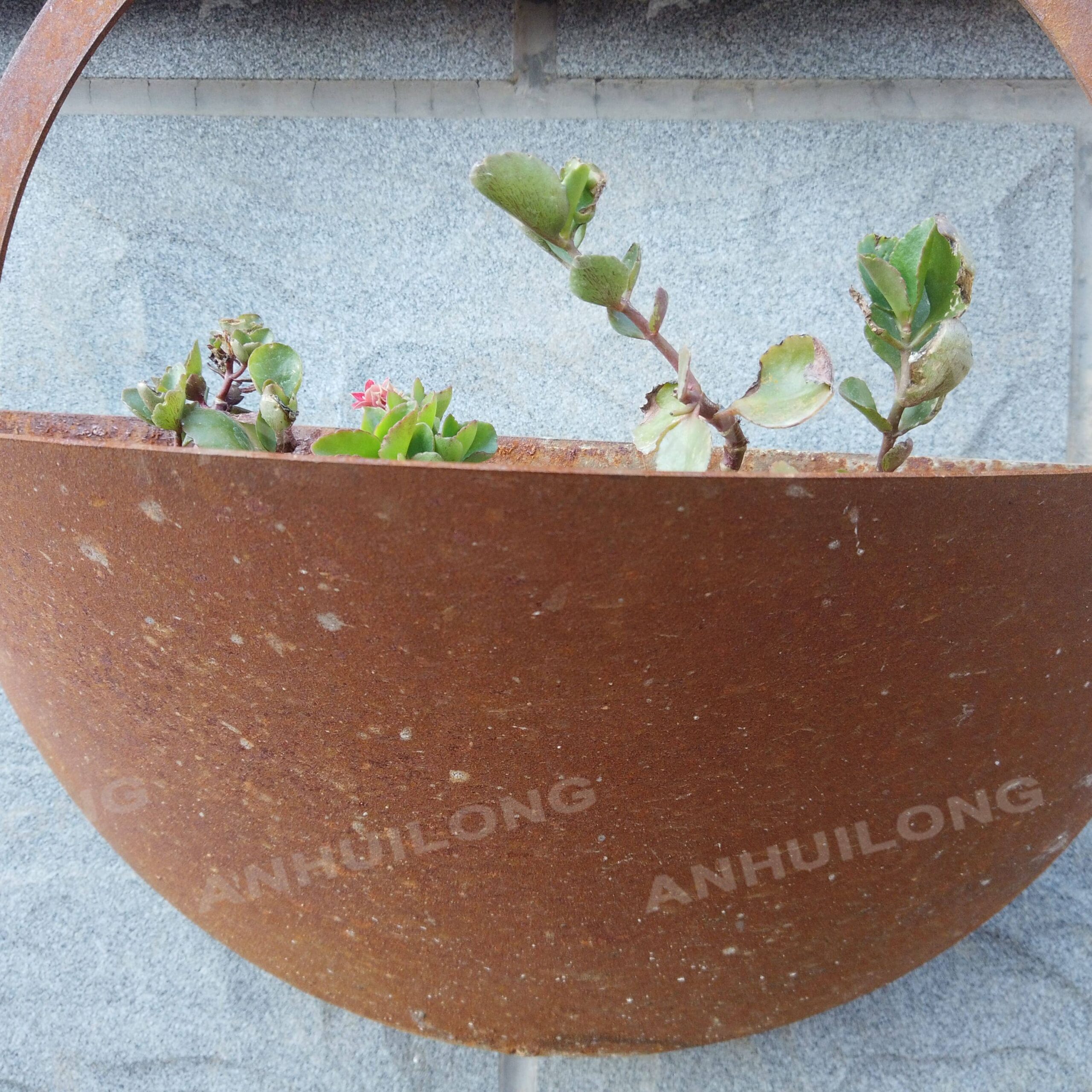 Half-moon indoor or outdoor planter for holiday projects