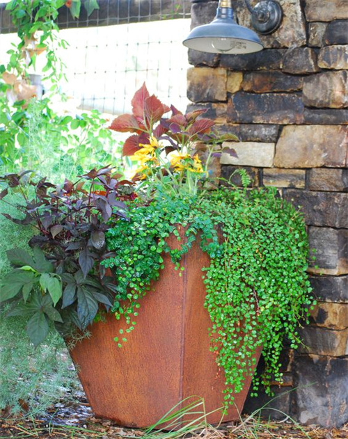 Outdoor Large Metal Corten Steel Irregular Customization Planter Pot